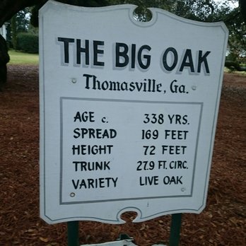 The Big Oak - Landmarks & Historical Buildings Near Me - Thomasville, Georgia