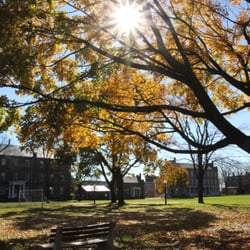 Springfield Technical Community College - A beautiful fall view on the STCC campus.