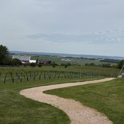 Luckett Vineyards - Vineyard