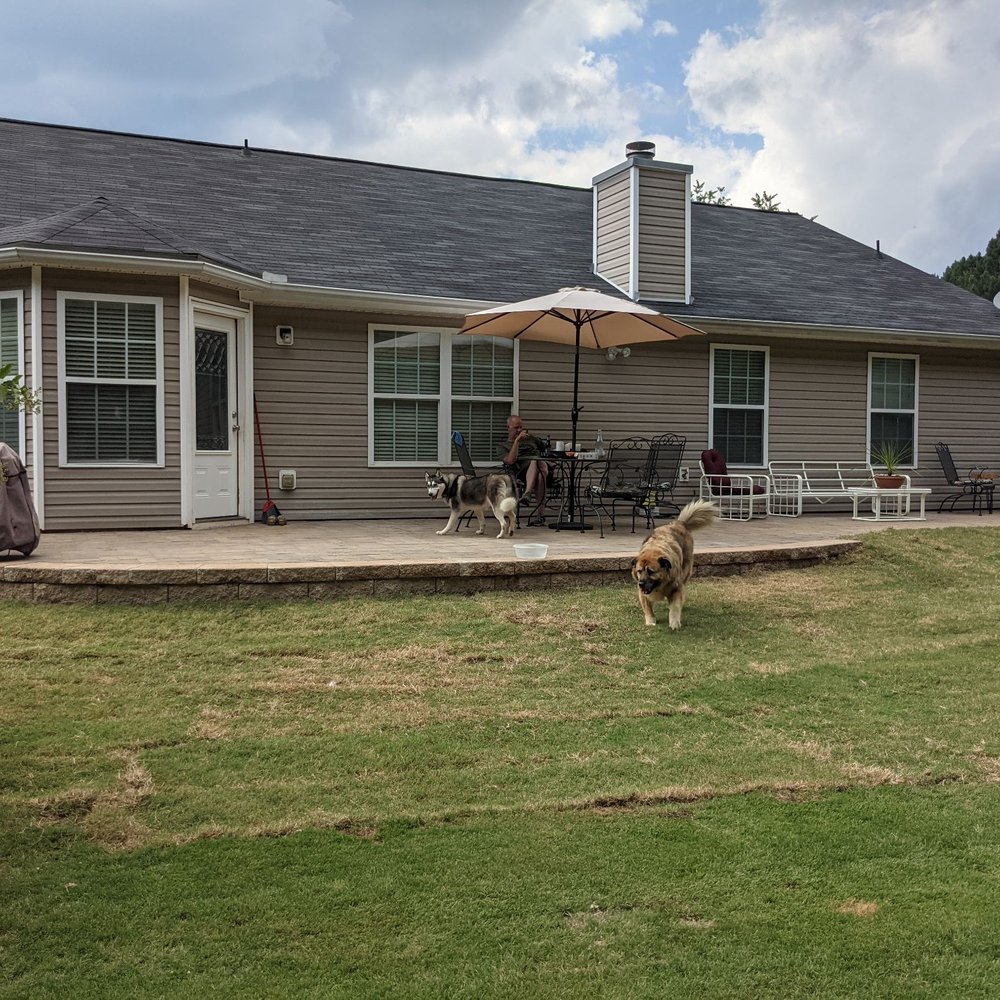 the back of a house with a dog in the yard