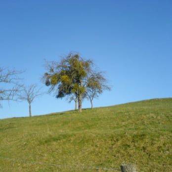 Der Mistelweg - Midwives Near Me - Unna, NW
