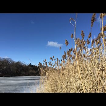 High Park - Nice clear skies - Parks Near Me - Toronto, Ontario