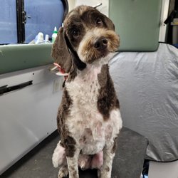 Grooming Butler