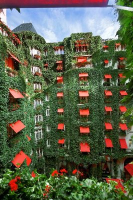 La Cour Jardin by null