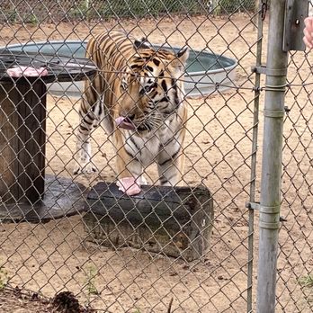 Emerald Coast Zoo - Zoos Near Me - Crestview, Florida Emerald Coast Zoo - Zoos Near Me - Crestview, Florida