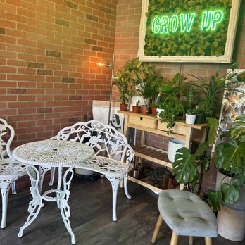 Quiet Storm Roasters - Coffee & Tea Near Me - San Diego, California Quiet Storm Roasters - Coffee & Tea Near Me - San Diego, California