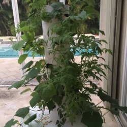 Alix Landman, MPH, RD - Juice Plus Tower Garden. Vertical Vegetable and Herb Growing. You can get started with your own. Email or call for inquiries