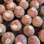 Photo of Paxxys Cookies