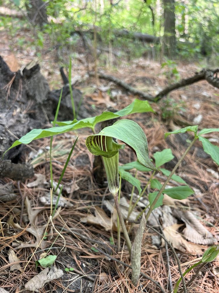 Quarry Hill Nature Center