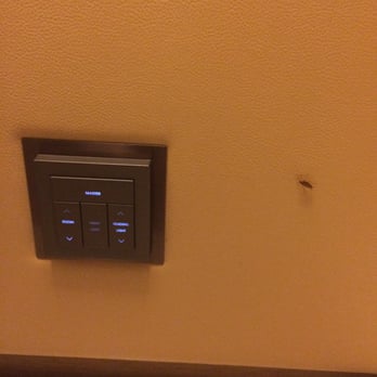 香港沙田萬怡酒店 - Cockroach next to my bed! - Hotels Near Me - Hong Kong, HK