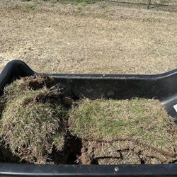 Dallas Sod Company