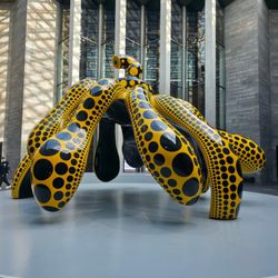 National Gallery of Victoria - Yayoi Kusama