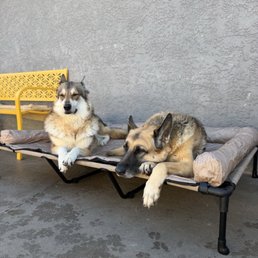 My babies p
