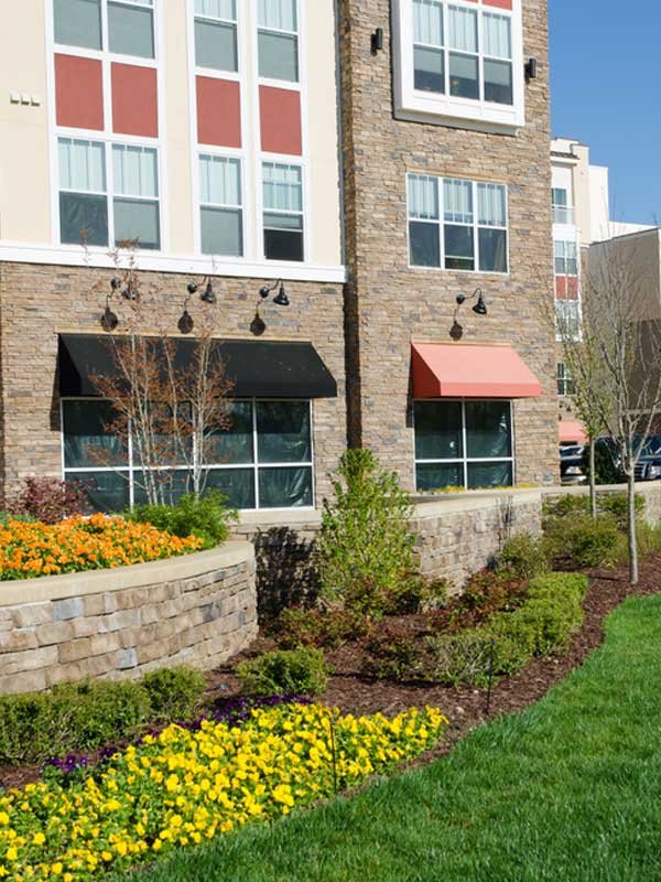 Choice Home + Commercial Services - tree service in Houston, TX