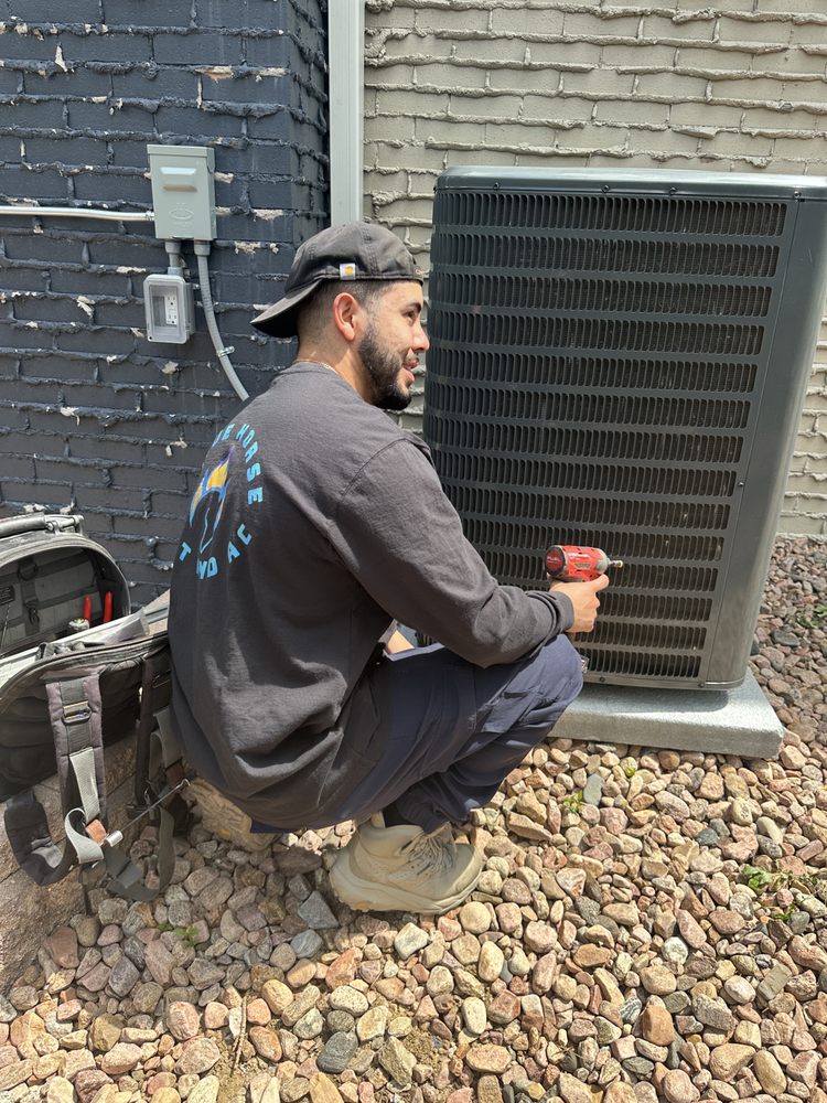 Blue Horse Heat and AC - veterans service organization in Arvada, CO