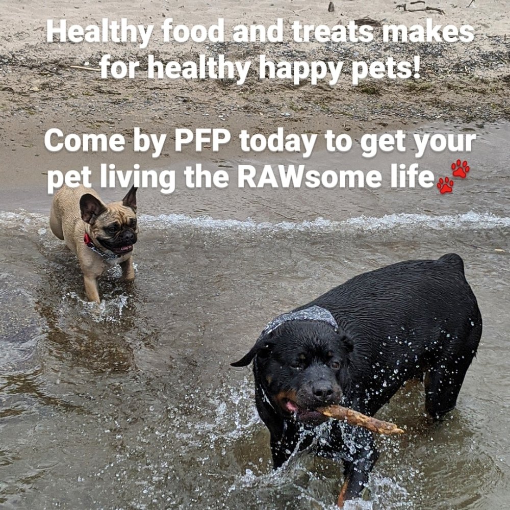 PET FOOD PLATTERS Updated July 2024 23 Photos 188A Spadina Avenue