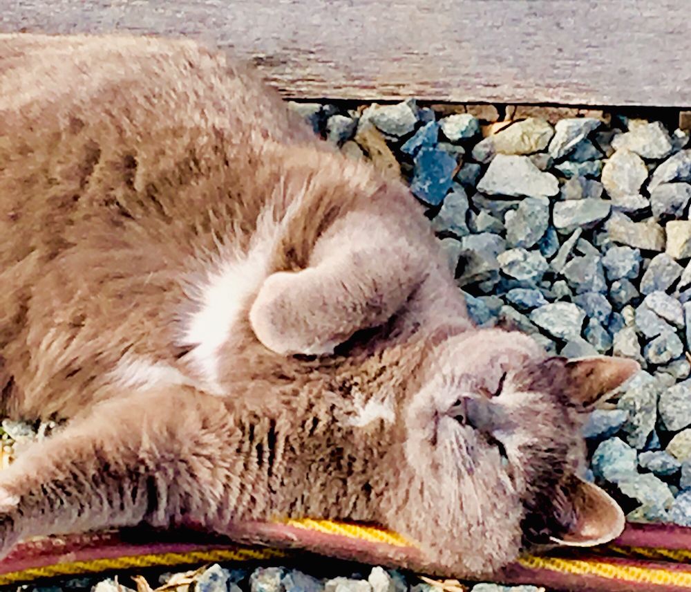 CALVERT FARM Updated September 2024 32 Photos 321 Chrome Rd, Rising Sun, Maryland