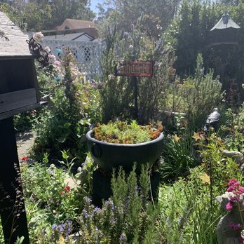 Spellbound Herbs - Nurseries & Gardening Near Me - Cambria, California