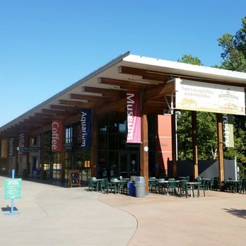 Turtle Bay Exploration Park - Museums Near Me - Redding, California Turtle Bay Exploration Park - Museums Near Me - Redding, California