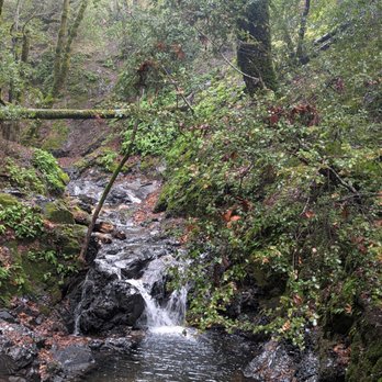 Uvas Canyon County Park - Parks Near Me - Morgan Hill, California