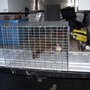 Photo of Lakeside Pest Control
