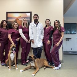 Pleasant Valley Animal Hospital - The PVAH Team