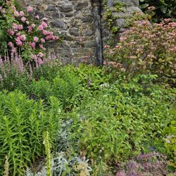 Bodnant Garden