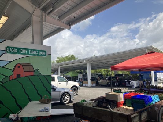 Alachua County Farmers' Market by null