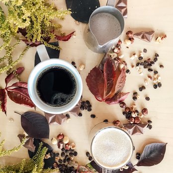 Hardy Coffee Co. - Chalco - a cup of coffee surrounded by leaves and berries - Coffee & Tea Near Me - Omaha, Nebraska Hardy Coffee Co. - Chalco - a cup of coffee surrounded by leaves and berries - Coffee & Tea Near Me - Omaha, Nebraska