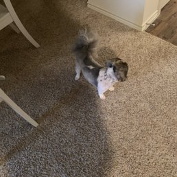 Zoey Zoey