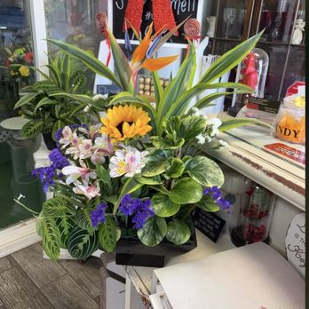 Flower Connection - Fresh plants 8/8/26 - Florists Near Me - Chula Vista, California Flower Connection - Fresh plants 8/8/26 - Florists Near Me - Chula Vista, California