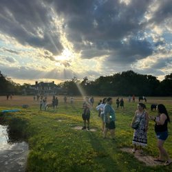 The Good Vibe Farm