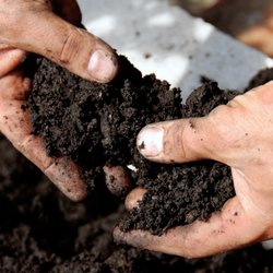 ES & D Colorado Landscaping