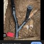 Photo of Next Level Drains