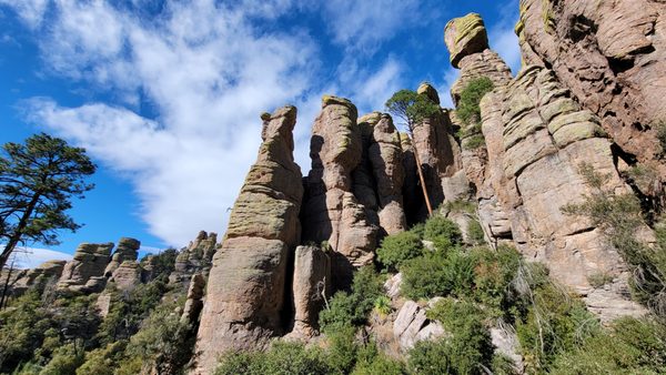 Chiricahua National Monument by null