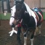 Photo of Kilronan Equestrian Centre