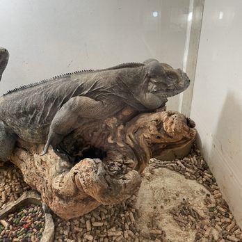 Pet Palace - Pet Stores Near Me - Covina, California