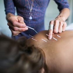 Ann-Marie Blanchard L.Ac. - 3 Seeds Acupuncture