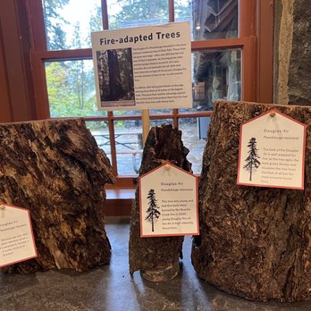 Silver Falls State Park - Lodge with information and maps - Hiking Near Me - Sublimity, Oregon Silver Falls State Park - Lodge with information and maps - Hiking Near Me - Sublimity, Oregon