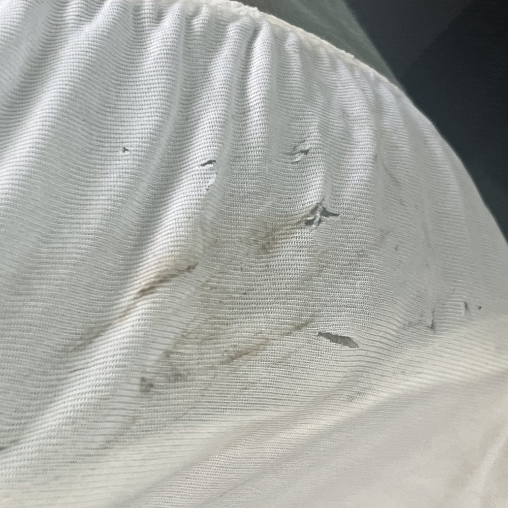 Casago - Nasty & torn sleeper sofa - Vacation Rentals Near Me - Myrtle Beach, South Carolina