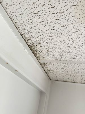 Admiral Hotel by null