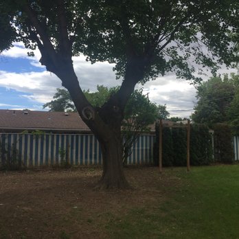 Complete Tree Service - After ! - Tree Services Near Me - Cowiche, Washington