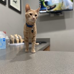 Morrison in the patient room