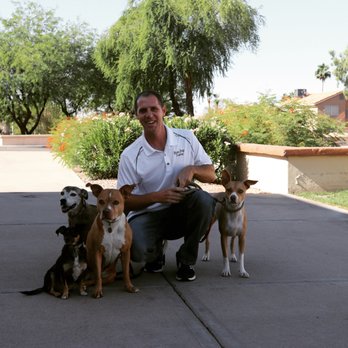 Nate Dog Training - My dog Family - Pet Training Near Me Nate Dog Training - My dog Family - Pet Training Near Me