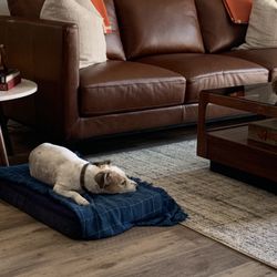 The Mobile Vet ... Dr. Bashara