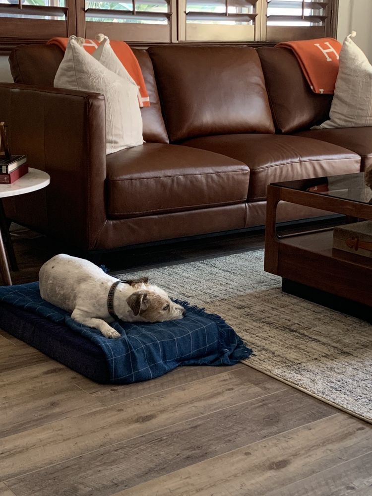 THE MOBILE VET DR. BASHARA Updated October 2024 11 Photos & 39 Reviews Bakersfield