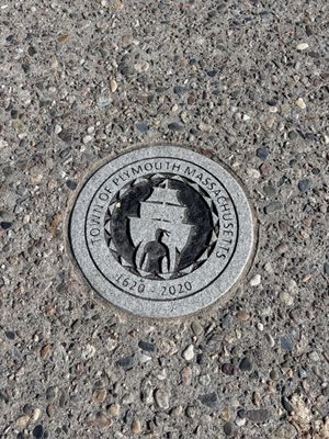 Plymouth Rock by null