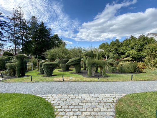 Green Animals Topiary Gardens - 117 Photos & 29 Reviews - Museums - 380