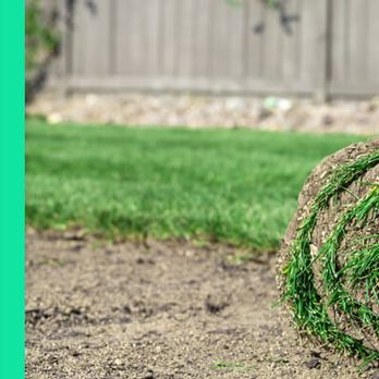 Curtis Lawn Care - a roll of turf being rolled up - Lawn Services Near Me Curtis Lawn Care - a roll of turf being rolled up - Lawn Services Near Me