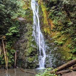 Madison Falls - Instagram: @telephonesmoothie